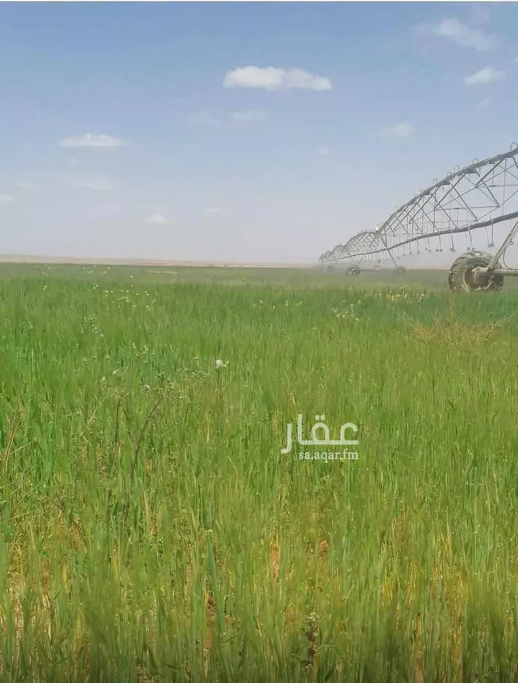 أرض للبيع في شارع طريق الملك فهد, حي الورود, مدينة تبوك, منطقة تبوك صورة 3