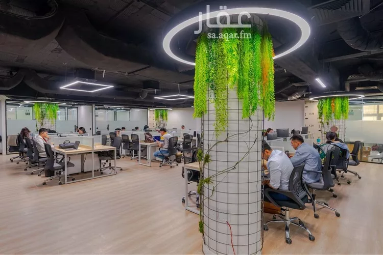 مكتب تجاري للإيجار في شارع أغادير, حي الملك عبدالعزيز, مدينة الرياض, منطقة الرياض صورة 5