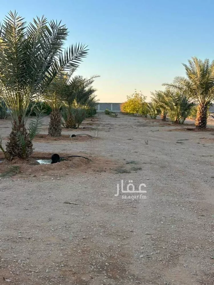 مزرعة للبيع في شارع ثادق, حي الساحبه ومزارعها, مدينة الساحبه ومزارعها, منطقة الرياض