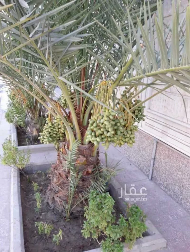 فيلا للبيع في شارع ابو سعيد النفيس, حي الجسر, مدينة الخبر, المنطقة الشرقية 6