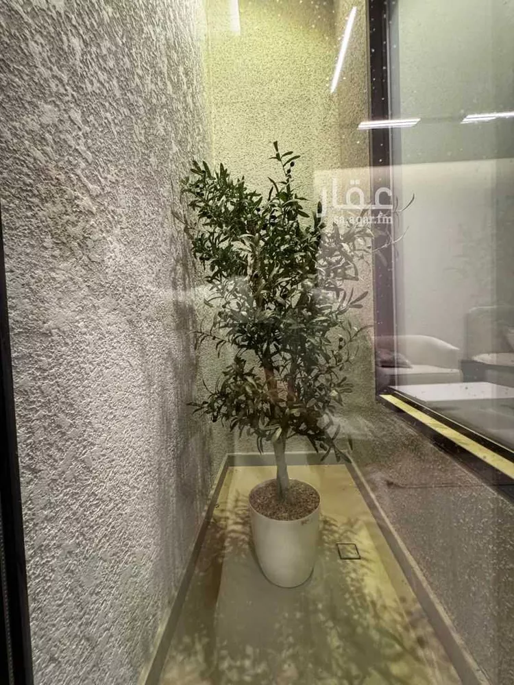 شقة للإيجار في شارع زيد بن عاصم بن عمرو بن عوف, حي النرجس, مدينة الرياض, منطقة الرياض صورة 3