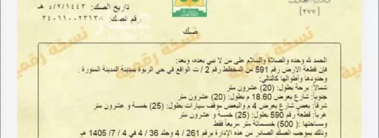 أرض للبيع في شارع معمر بن رئاب ، حي النخيل ، المدينة المنورة ، منطقة المدينة المنورة