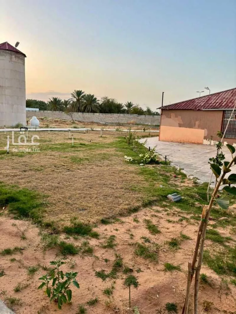 مزرعة للبيع في شارع البكيريه 874, مدينة البكيرية, منطقة القصيم صورة 3