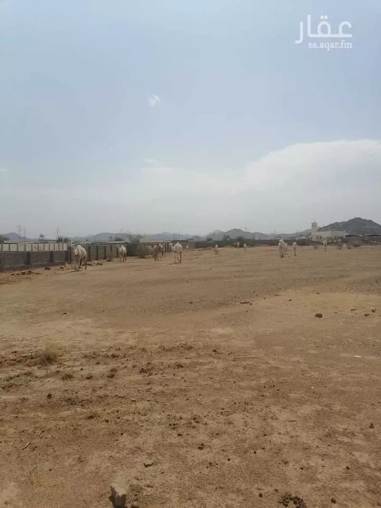 Farm for rent in Mecca Al Umrah Al Jadidah 6