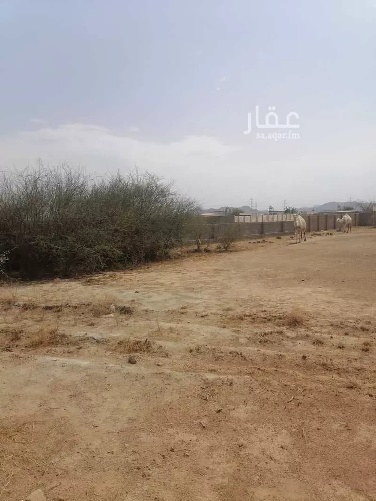 مزرعة للإيجار في شارع 25 الفتح ، حي العمرة الجديدة ، مكة ، الجموم صورة 3