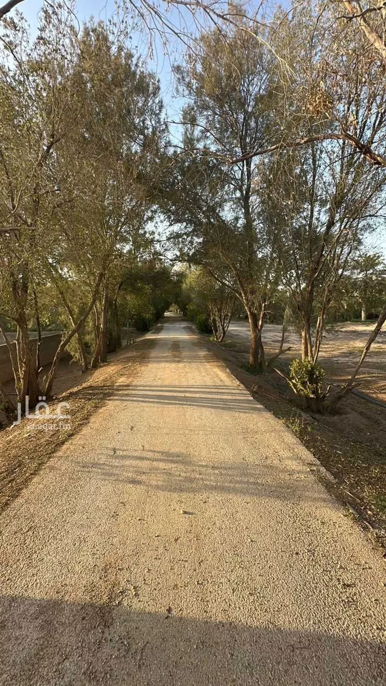 Farm for Sale in Thadiq Ad Deerah Al Kadimah صورة 4