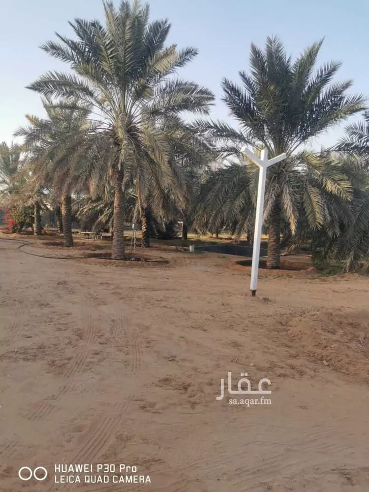 مزرعة للبيع في شارع الروابي 92 ، حي الروابي ، بريدة ، بريدة صورة 3