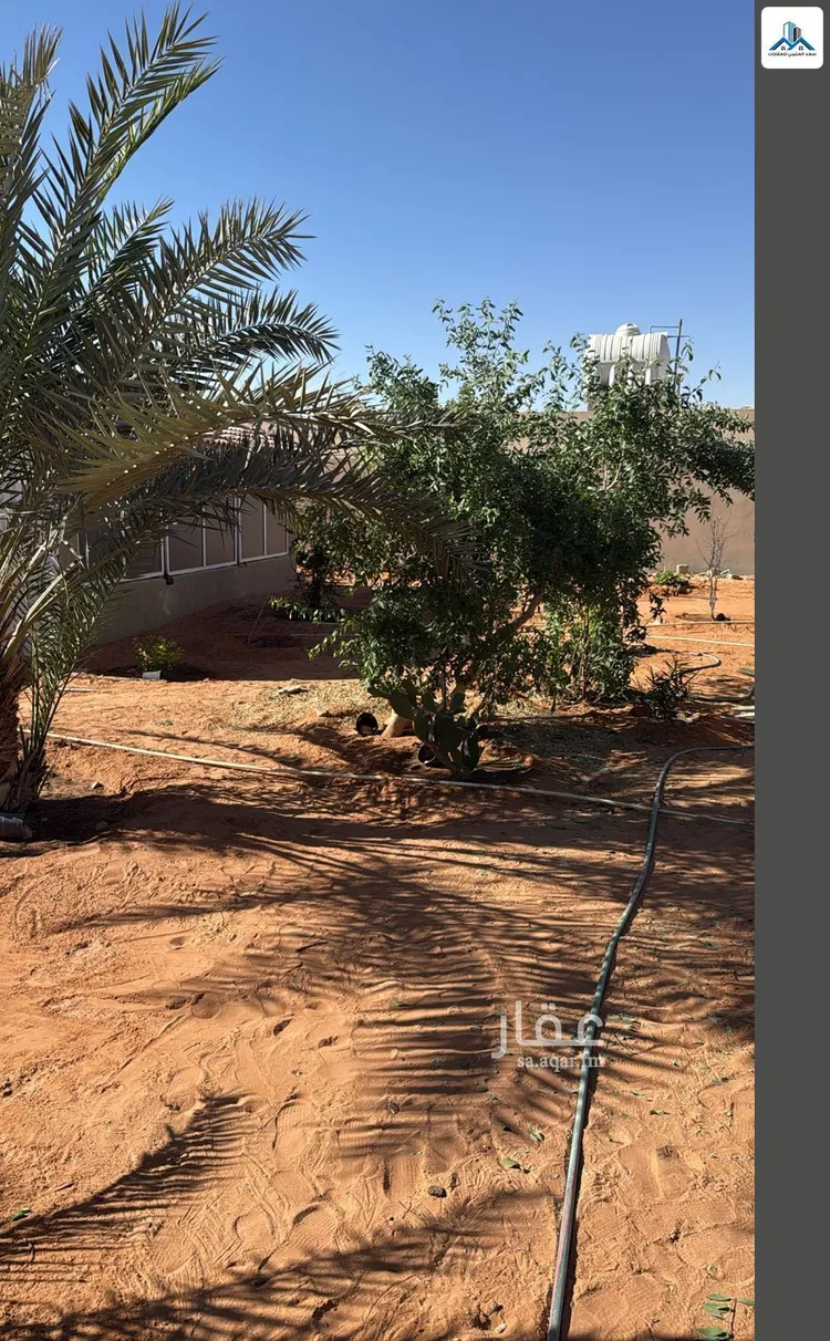 أرض للإيجار في شارع قصور ال مقبل 12, حي قصور ال مقبل, مدينة مزارع البطين ومزرعه دواجن, منطقة الرياض صورة 4