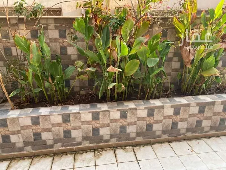 عمارة للبيع في شارع عبدالرحمن بن العباس, حي البوادي, مدينة جدة, منطقة مكة المكرمة صورة 3