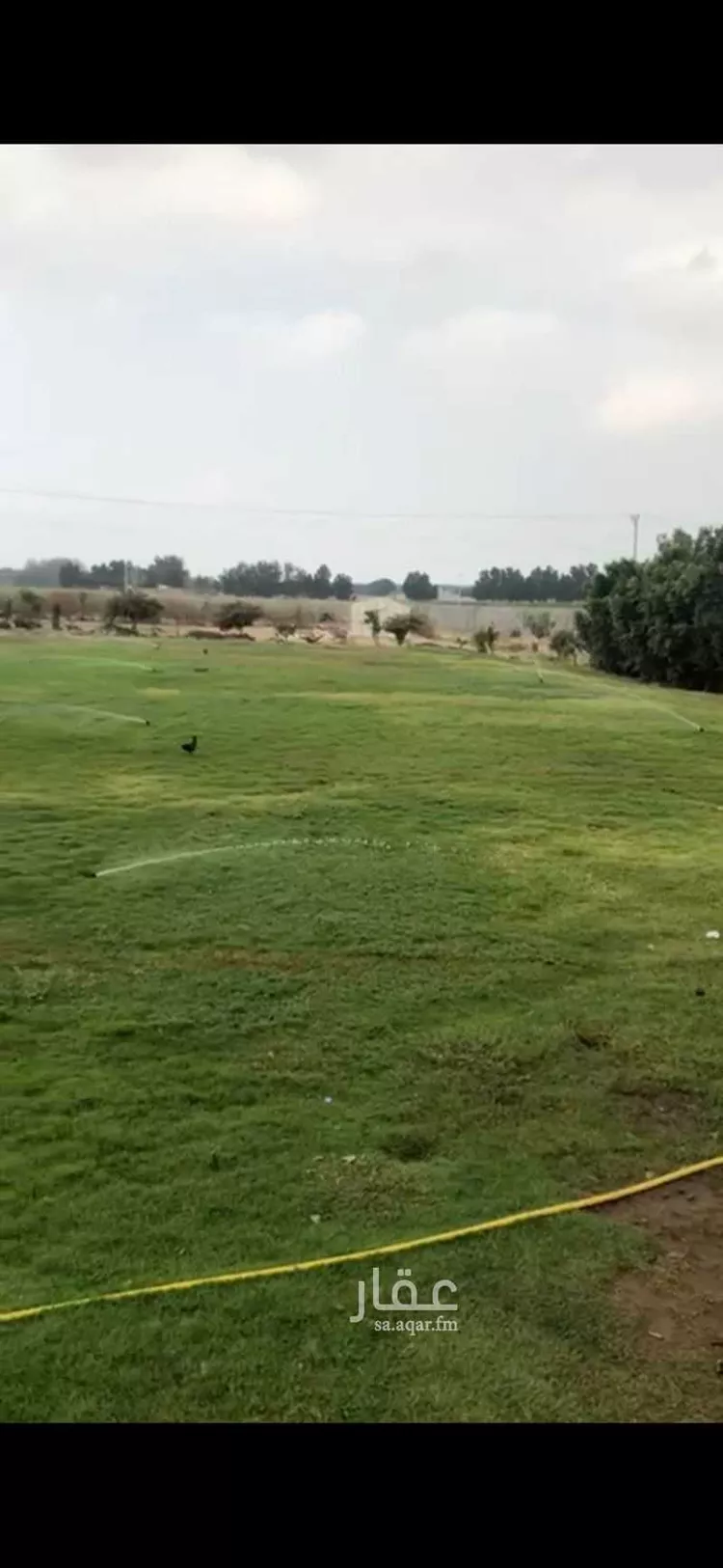 أرض للبيع في شارع الفقهاء 18, مدينة جازان, منطقة جازان