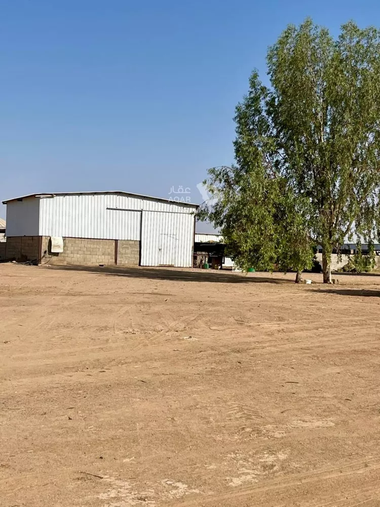 Farm for Sale in AlShinana Al Aziziyah 10