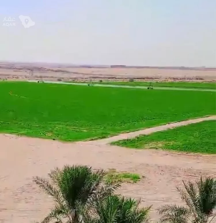 Farm for Sale in AlShinana Al Aziziyah 5