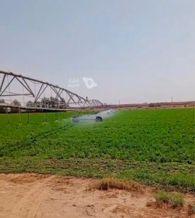 Farm for Sale in AlShinana Al Aziziyah 4