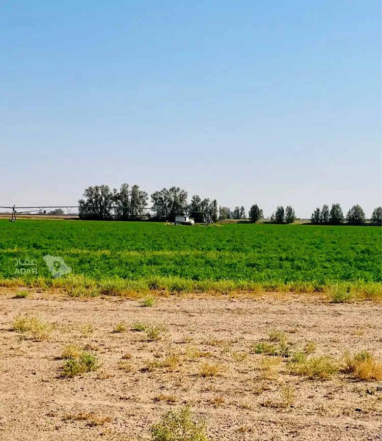 Farm for Sale in AlShinana Al Aziziyah 6