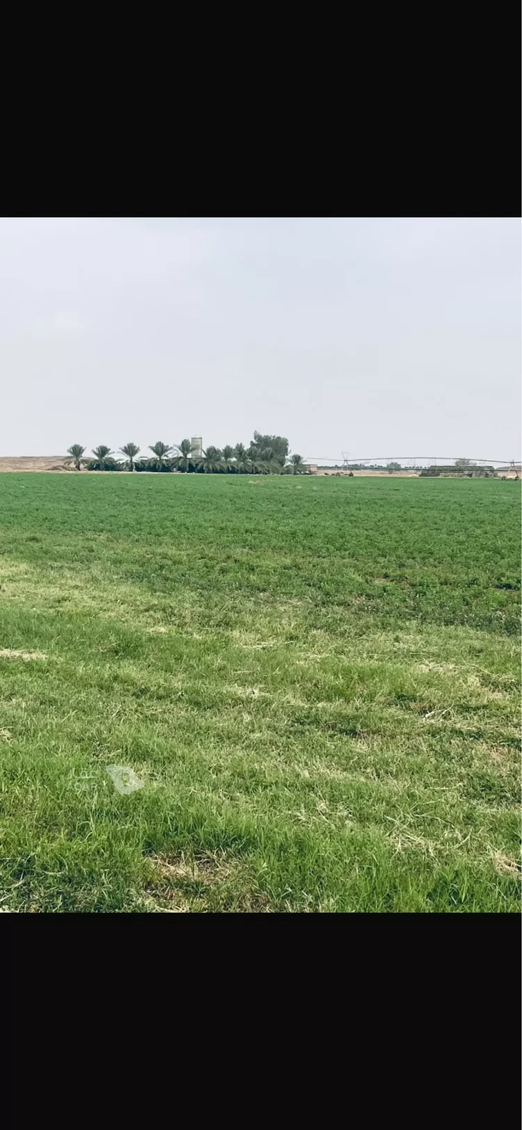 Farm for Sale in AlShinana Al Aziziyah 7