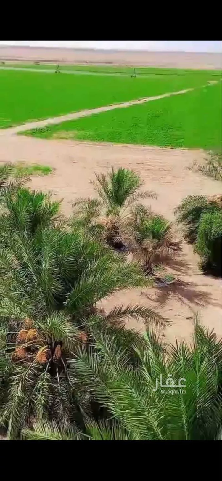 مزرعة للبيع في حي الكهيفية, مدينة الكهيفيه, منطقة حائل 6