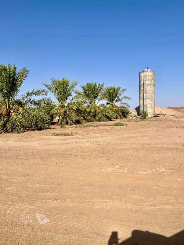 Farm for Sale in AlShinana Al Aziziyah 2