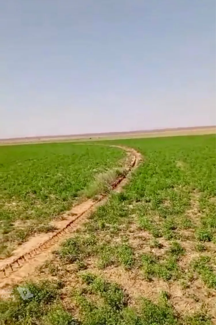 Farm for Sale in AlShinana Al Aziziyah 3