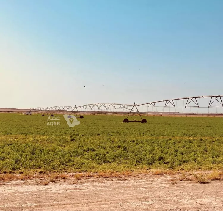 Farm for Sale in AlShinana Al Aziziyah 11