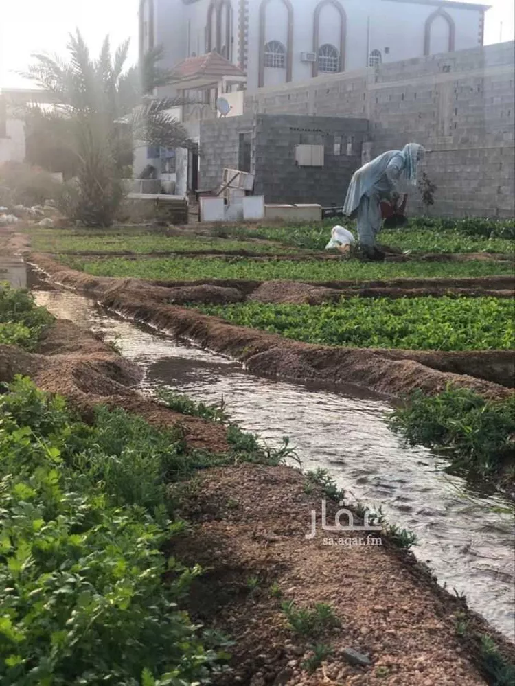 أرض للبيع في شارع طليب اللخمي ، حي الرحاب ، الطائف ، الطائف 6