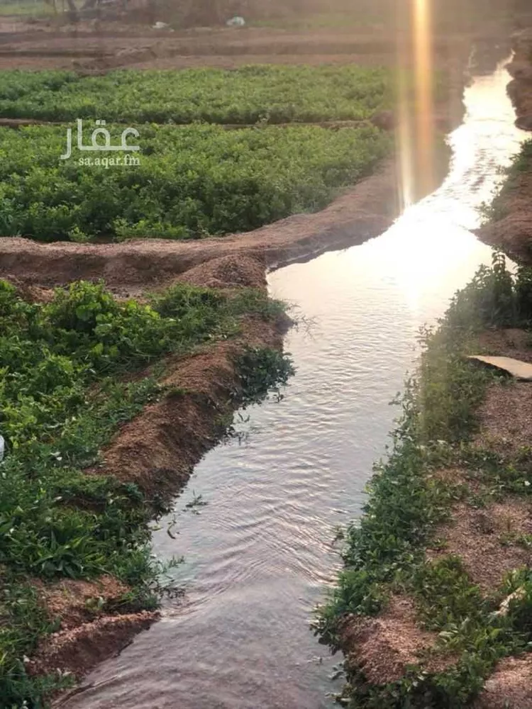 أرض للبيع في شارع طليب اللخمي ، حي الرحاب ، الطائف ، الطائف صورة 4