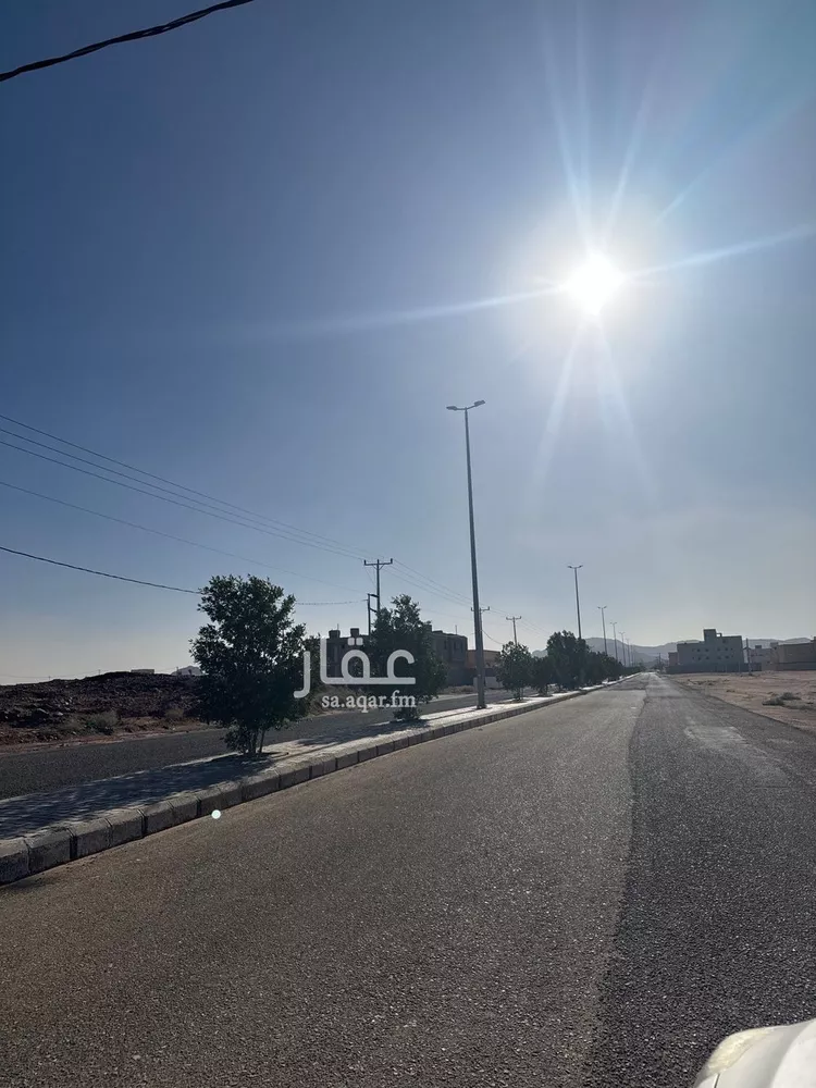 أرض للبيع في حي النهضة, مدينة النبهانية, منطقة القصيم صورة 5