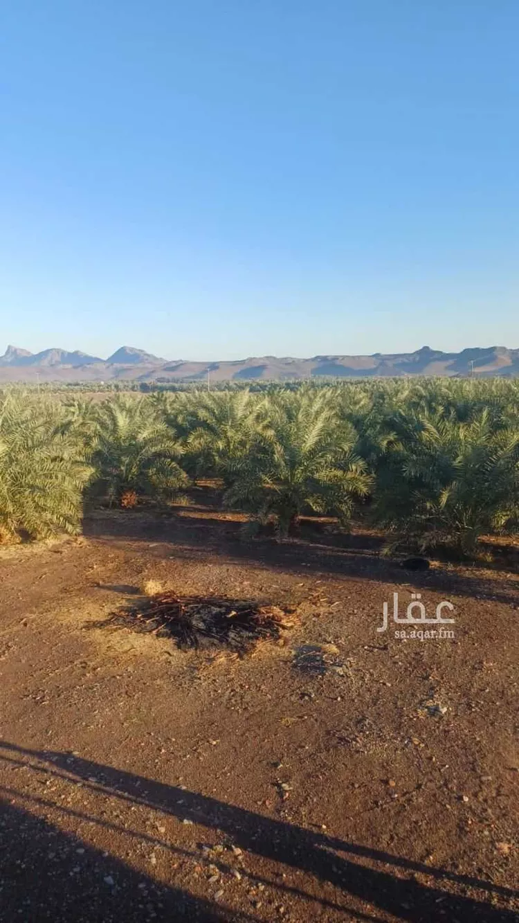 Farm for Sale in Medina Al Balqaa صورة 3