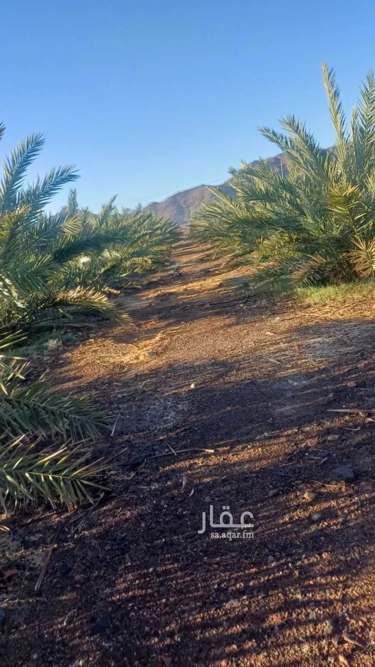 Farm for Sale in Medina Al Balqaa صورة 4