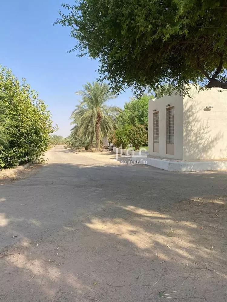مزرعة للبيع في شارع شقراء 544 ، اشيقر ، شقراء