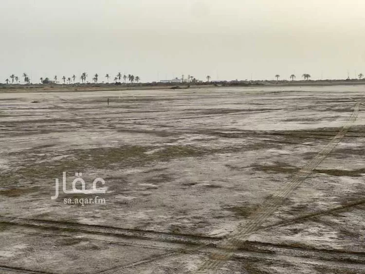 أرض للبيع في حي الشاطئ 3, مدينة القنفذه, منطقة مكة المكرمة صورة 5