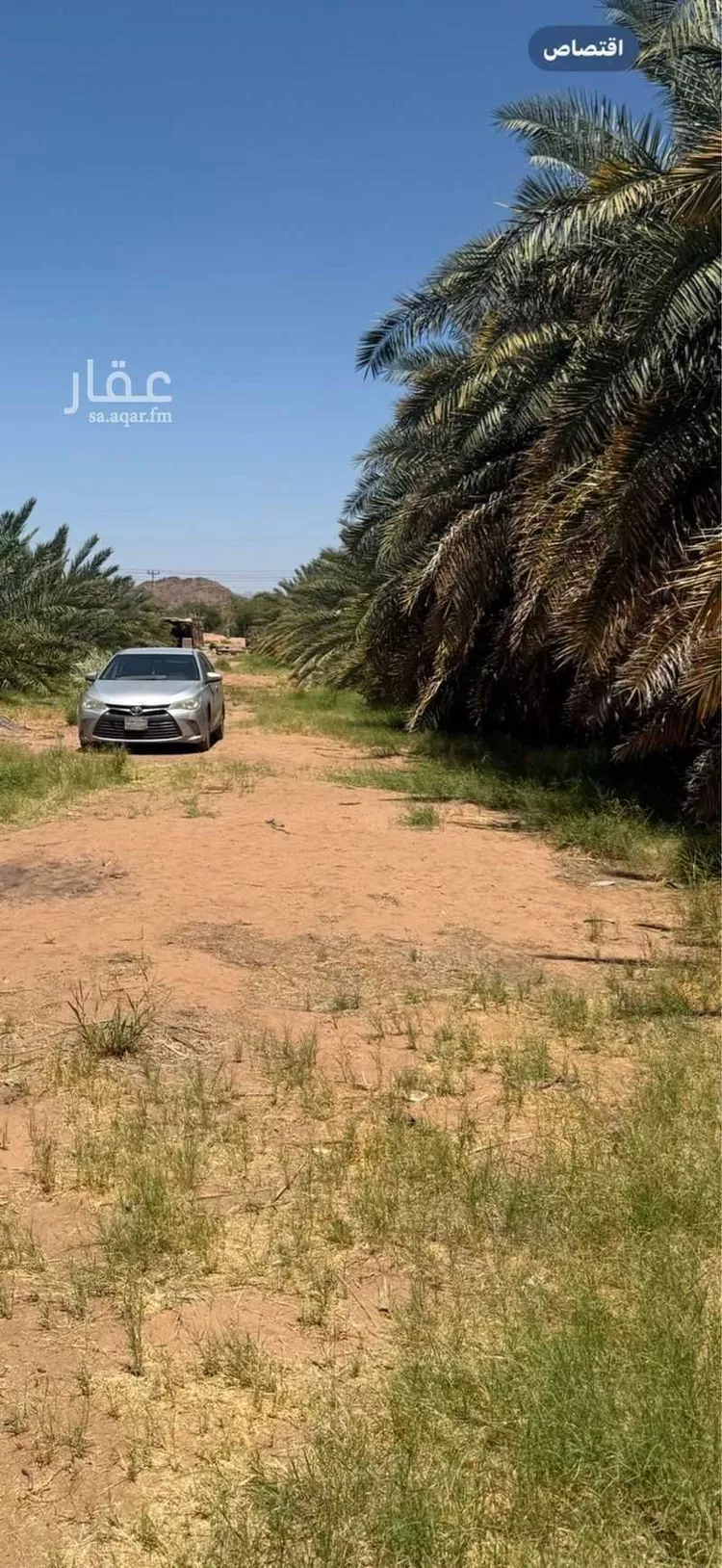مزرعة للبيع في شارع المندسة 1049 ، المدينة المنورة ، منطقة المدينة المنورة 6