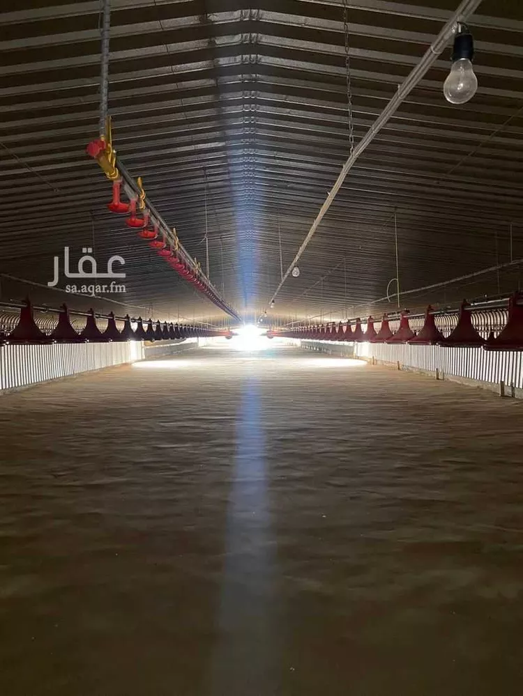 مزرعة للبيع في شارع الحماده, حي مزارع الحماده الجنوبيه, مدينة مزارع الحماده الجنوبيه, منطقة الرياض صورة 2