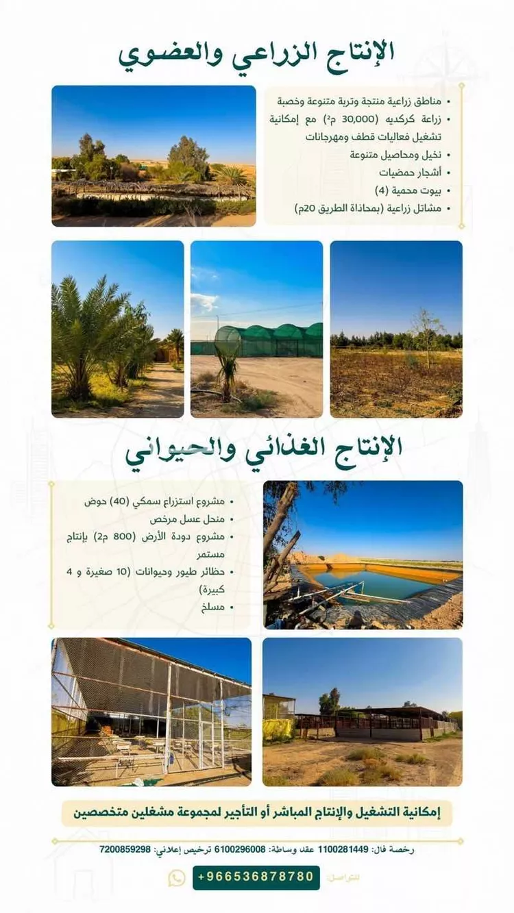 مزرعة للبيع في شارع جو 101, مدينة ضرما, منطقة الرياض صورة 4