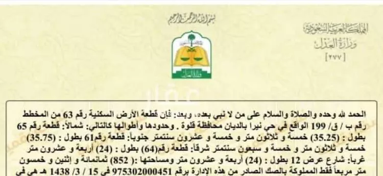 أرض للبيع في شارع نيراء بالديان 664, حي نيراء بالديان, مدينة نيراء بالديان, منطقة الباحة صورة 3