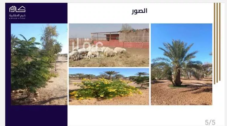 مزرعة للبيع في شارع جرول, مدينة المجمعه, منطقة الرياض