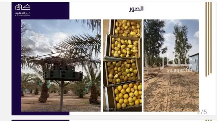 مزرعة للبيع في شارع جرول, مدينة المجمعه, منطقة الرياض صورة 5