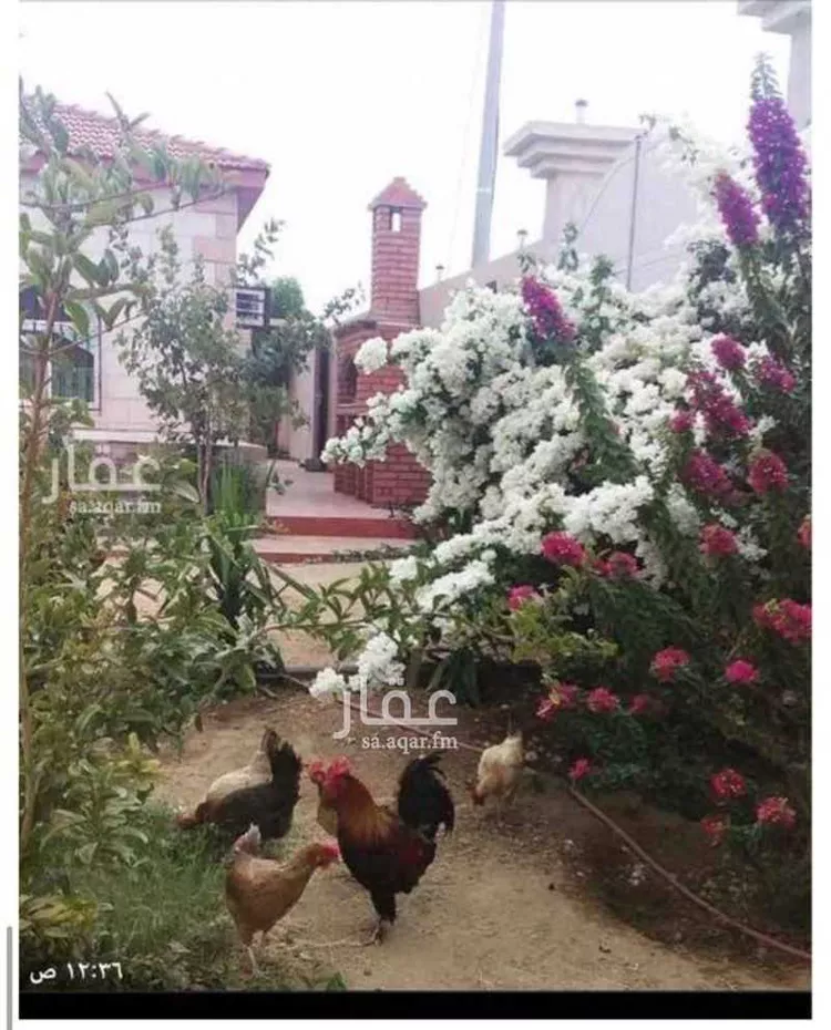 شاليه واستراحة للحجز في السيل الكبير ، الطائف