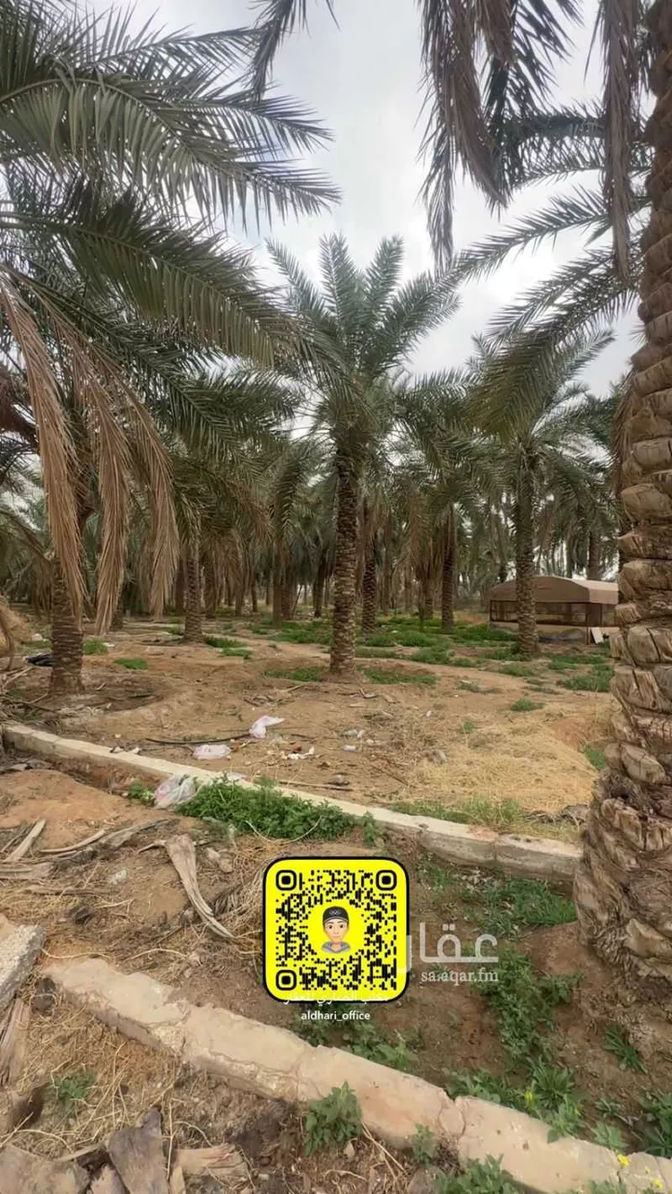 مزرعة للبيع في شارع محمد الوكيل, حي الوهلان, مدينة عنيزة, منطقة القصيم صورة 3