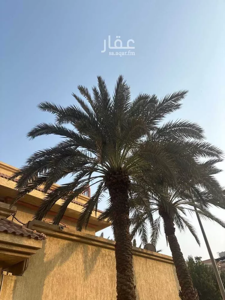 فيلا للبيع في شارع يوسف السويدي, حي الجوهرة, مدينة جدة, منطقة مكة المكرمة صورة 2