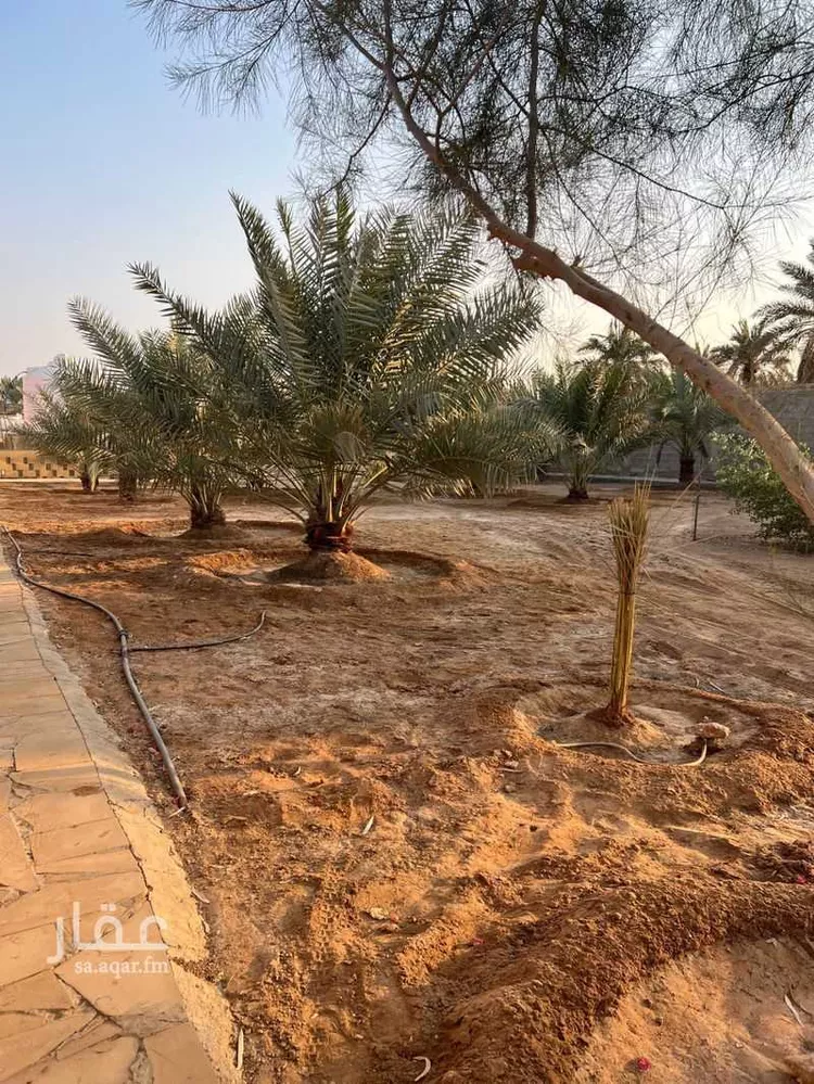 استراحة للإيجار في شارع الجدع الانصاري, حي وسيلة, مدينة المزاحمية, منطقة الرياض صورة 4