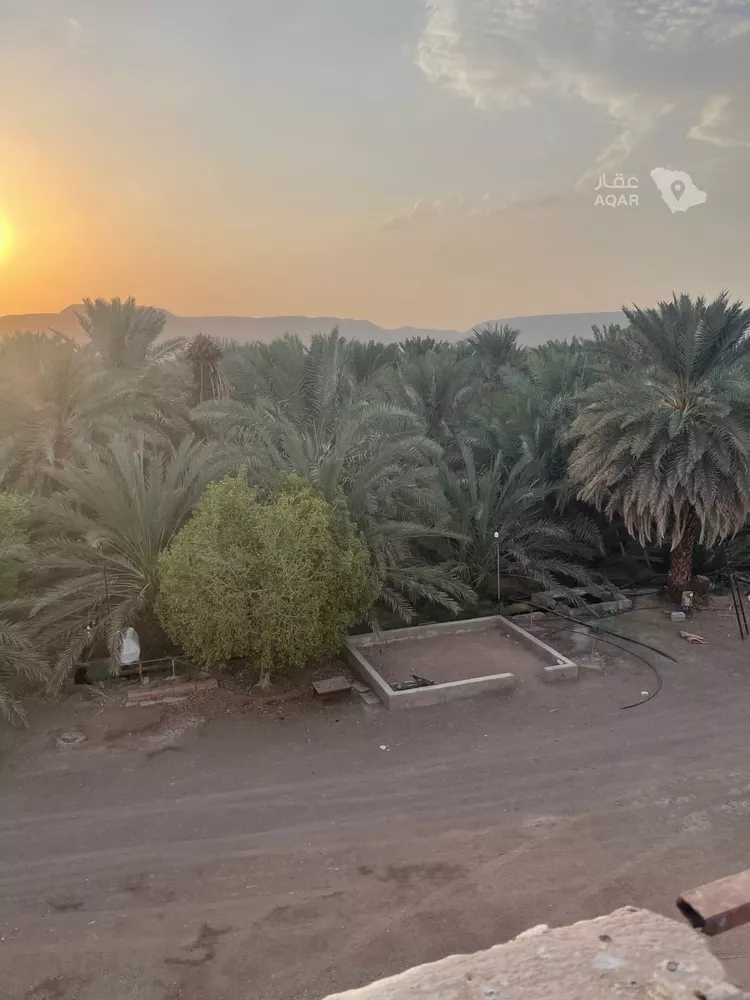 Farm for Sale in Medina Al Balqaa 11