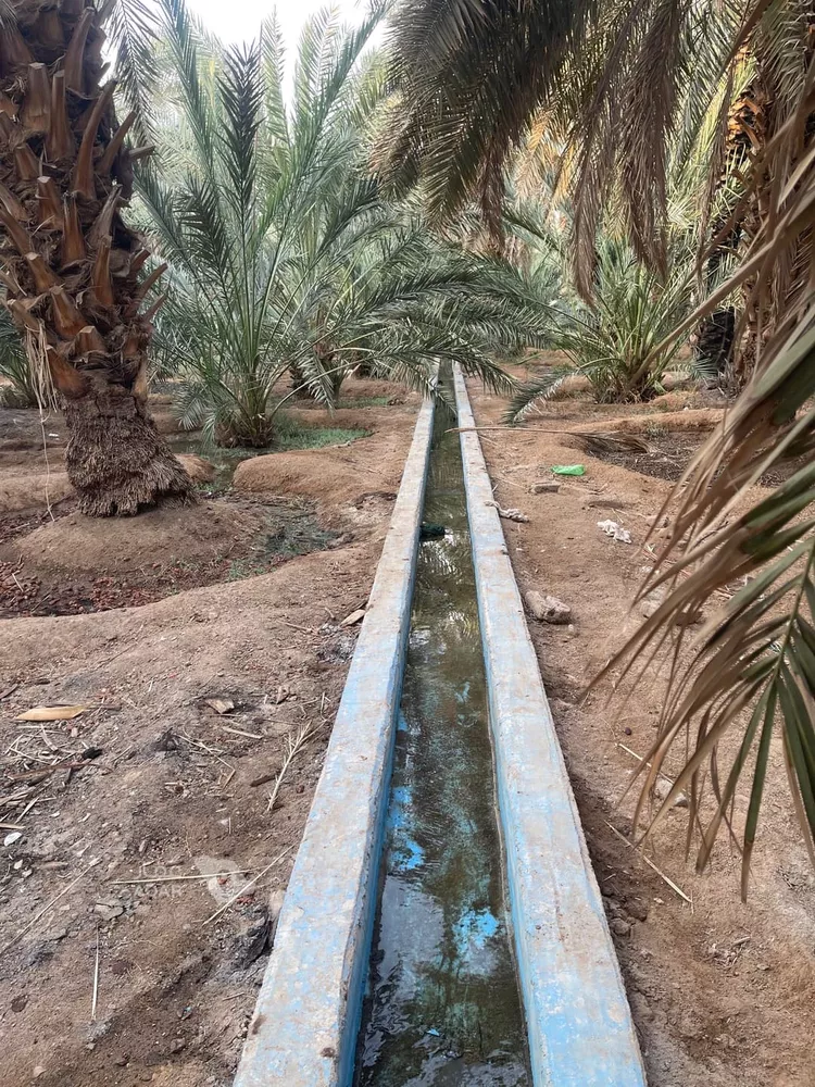 Farm for Sale in Medina Al Balqaa 14