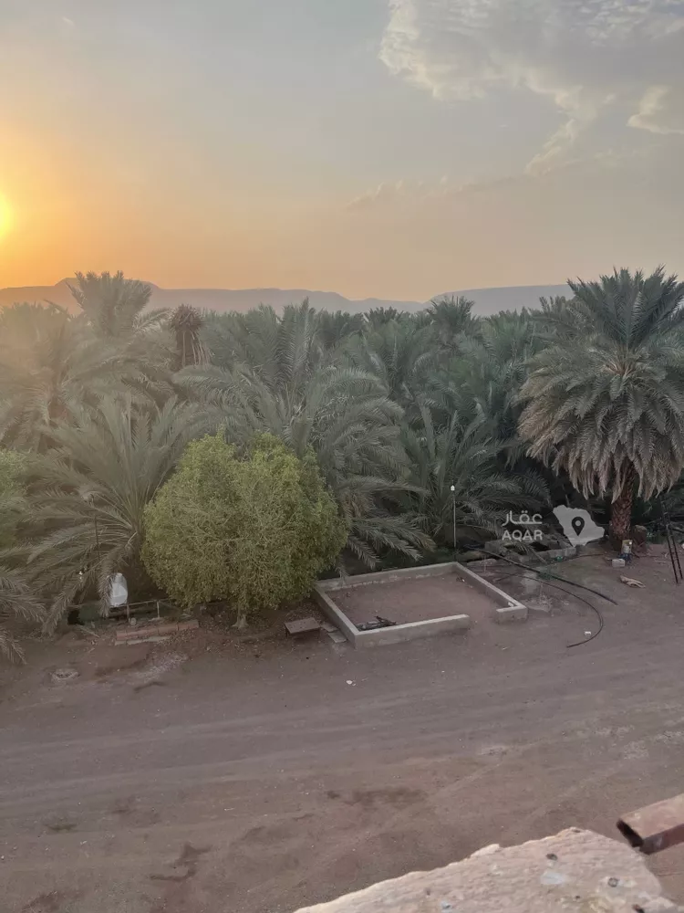 Farm for Sale in Medina Al Balqaa