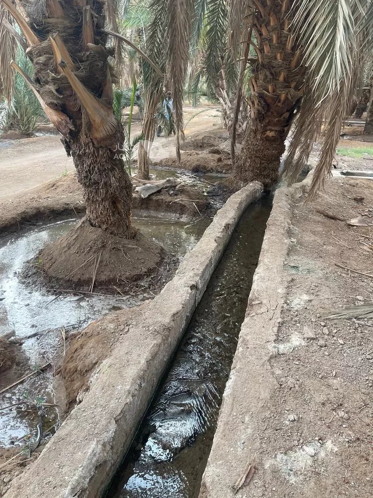 Farm for Sale in Medina Al Balqaa 12