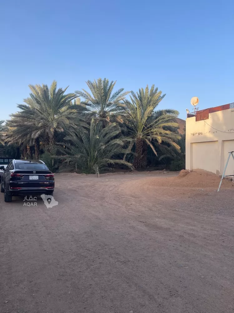 مزرعة للبيع في شارع المندسة 156, حي المندسة, مدينة المدينة المنورة, منطقة المدينة المنورة 2