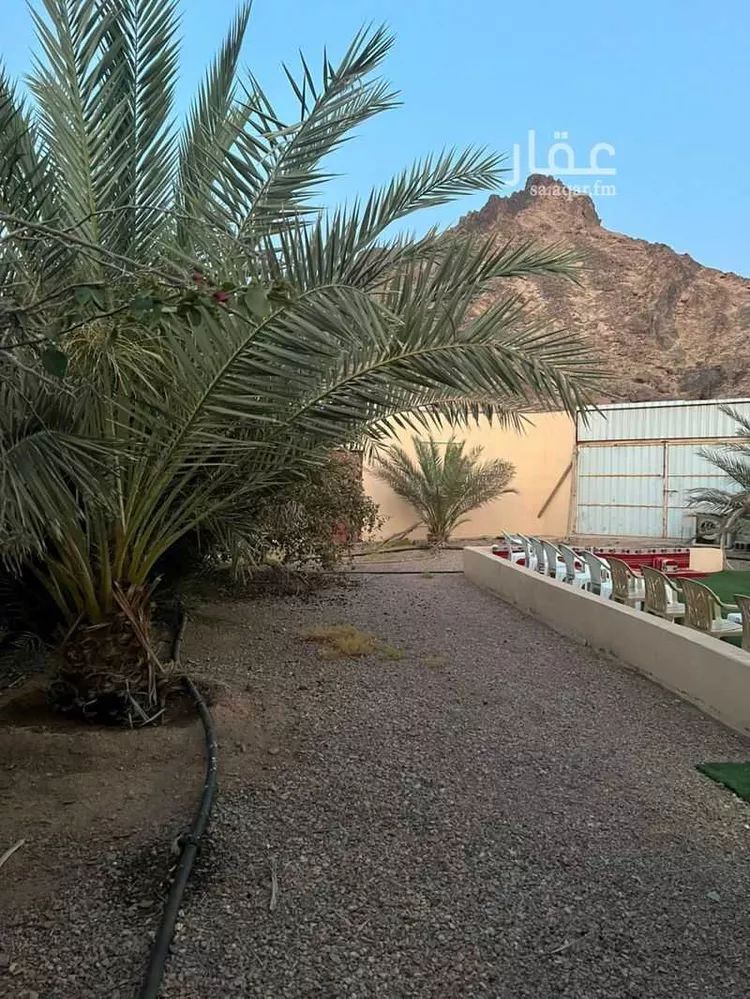 استراحة للبيع في شارع عقبة ابن عامر ابن عبس, حي السلام, مدينة المدينه المنوره, منطقة المدينة المنورة صورة 3