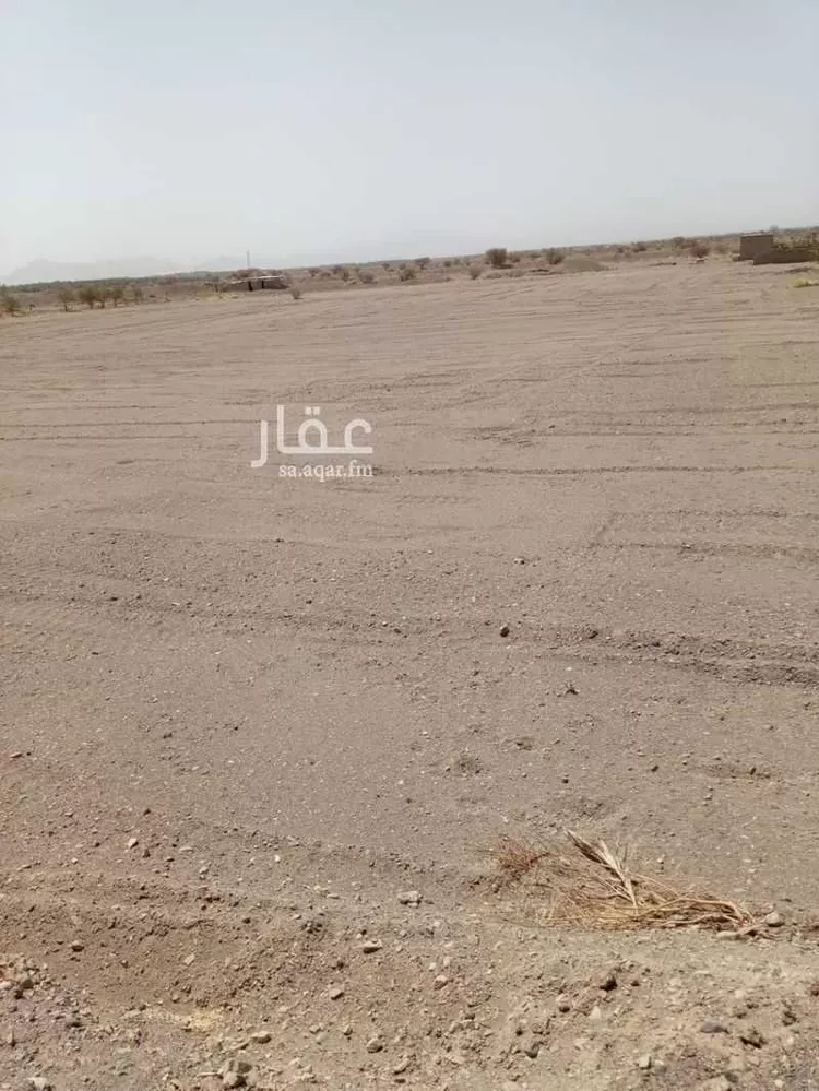 مزرعة للبيع في شارع الوادي, حي المليليح, مدينة المدينه المنوره, منطقة المدينة المنورة صورة 4