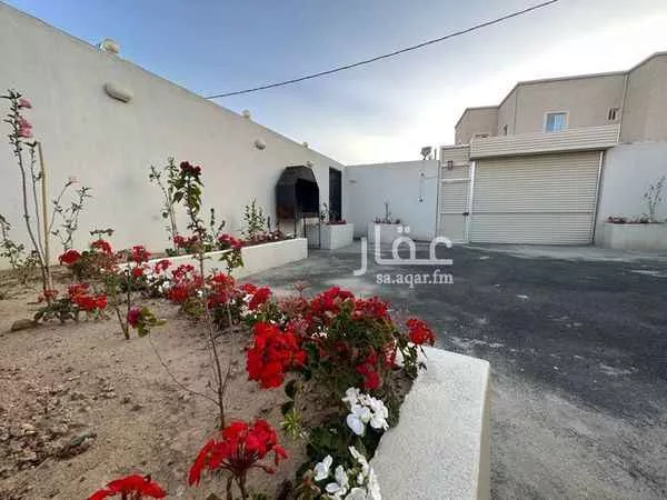 شاليه واستراحة للحجز في شارع المعيزيلة ، ابها ، أبهــــا صورة 2