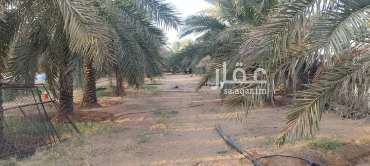 مزرعة للبيع في مدينة عنيزة, منطقة القصيم صورة 3