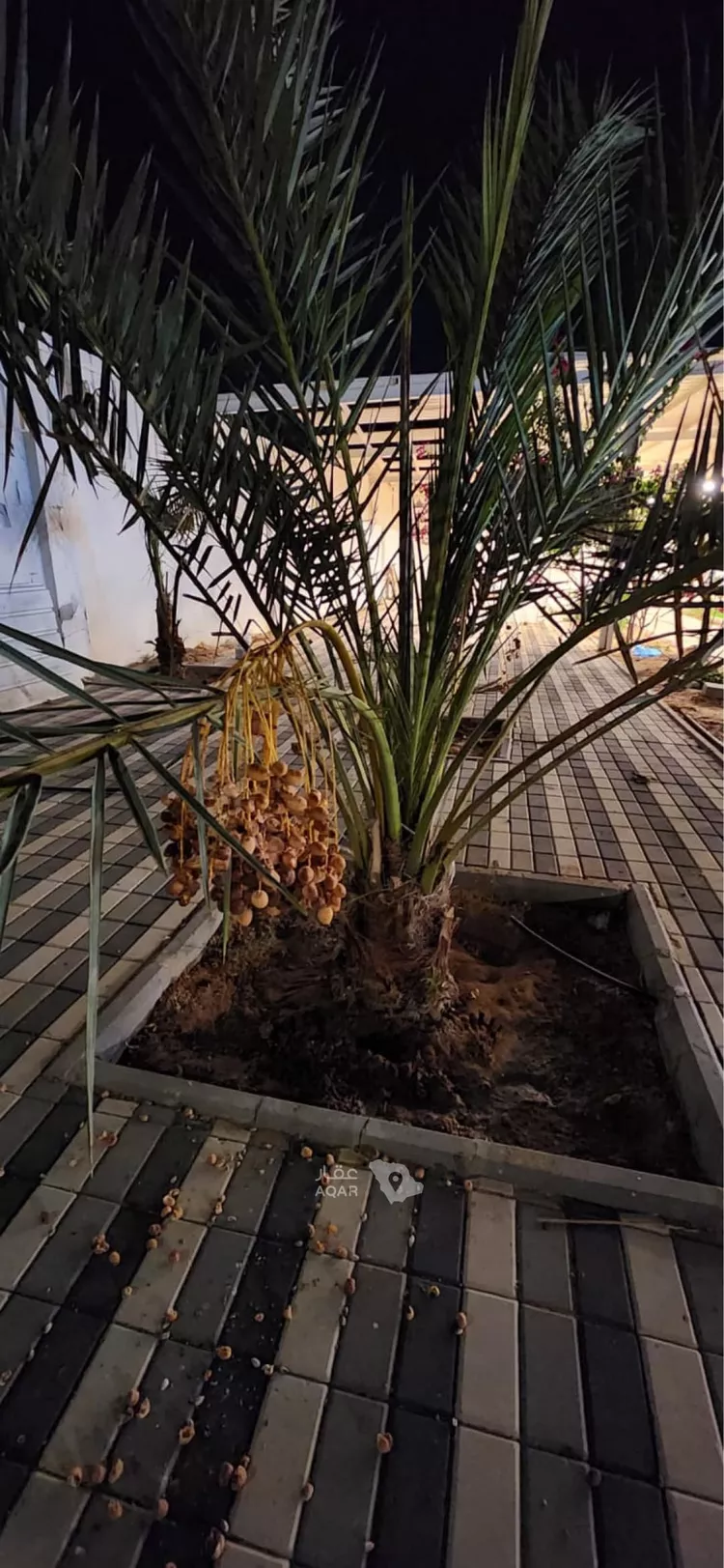 استراحة للبيع في شارع السالمية, حي الخضر, مدينة بريدة, منطقة القصيم 14